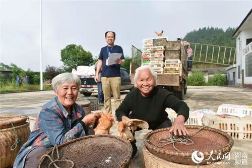 當(dāng)面鑼對面鼓 話說透干勁足