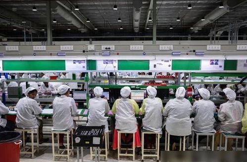 蘋果印度工廠遭暴力打砸，緯創澄清與業務培訓問題引發反思