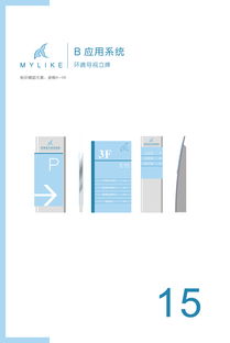 重塑美麗定義，傳遞專業(yè)信賴——美萊醫(yī)療美容醫(yī)院企業(yè)形象設計與策劃